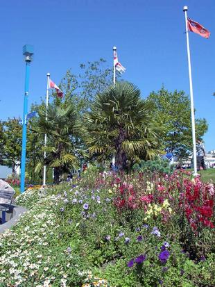 Image039.jpg