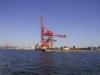 108-0831_img.jpg