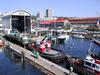 Cates Marine Tug Boats