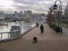 thmb_114-1478_img.jpg