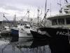 thmb_115-1519_img.jpg