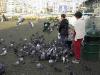 thmb_115-1524_img.jpg