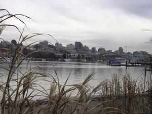 thmb_114-1470_img.jpg