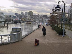 thmb_114-1478_img.jpg