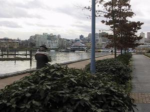 thmb_114-1479_img.jpg