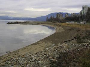 thmb_115-1510_img.jpg