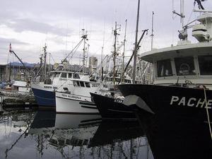 thmb_115-1519_img.jpg