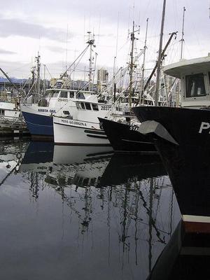 thmb_115-1520_img.jpg