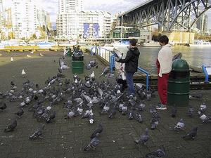 thmb_115-1523_img.jpg