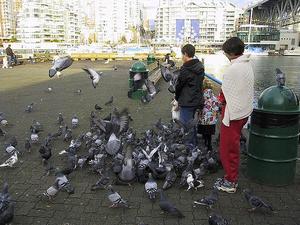 thmb_115-1524_img.jpg