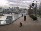 False Creek