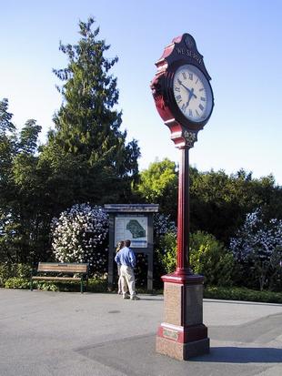 107-0742_img.jpg