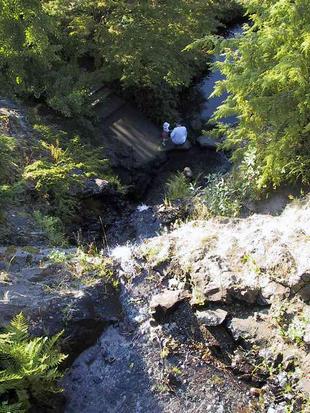 107-0746_img.jpg