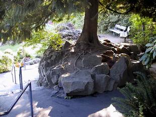 107-0747_img.jpg
