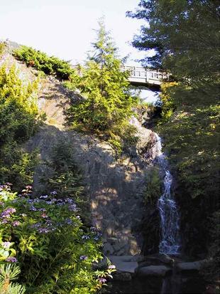 107-0751_img.jpg