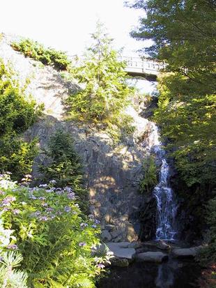 107-0752_img.jpg