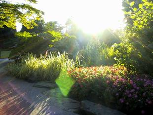 107-0754_img.jpg