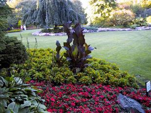 107-0755_img.jpg