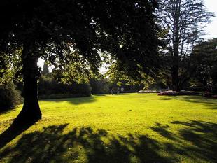 107-0766_img.jpg