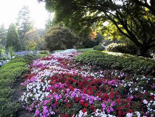 107-0769_img.jpg