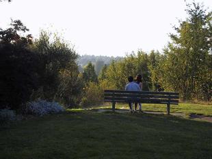 107-0771_img.jpg