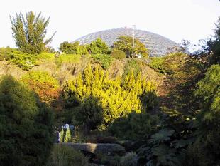 107-0772_img.jpg