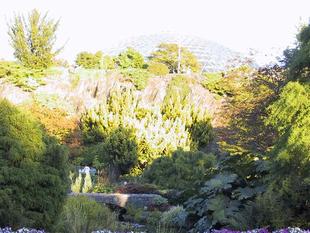 107-0773_img.jpg