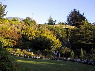 107-0774_img.jpg