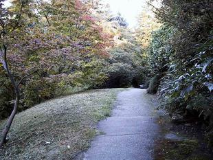 107-0775_img.jpg