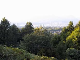 107-0777_img.jpg