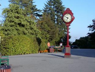 Image006.jpg