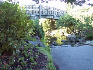 Image009.jpg