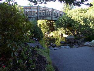 Image010.jpg
