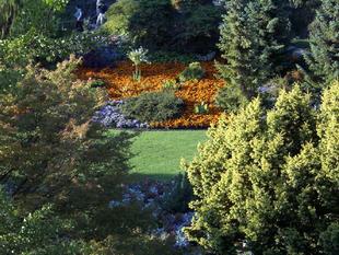 Image011.jpg