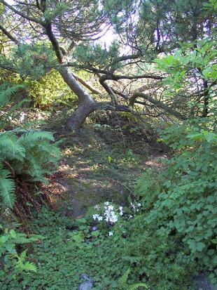 Image013.jpg