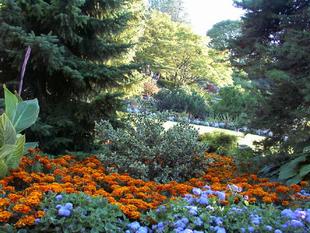 Image014.jpg