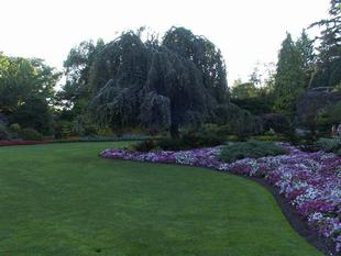 Image016.jpg