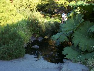 Image017.jpg