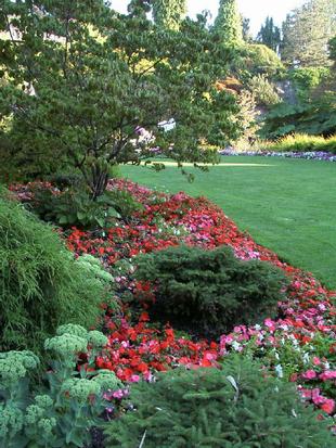 Image019.jpg
