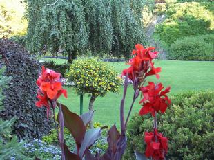 Image025.jpg