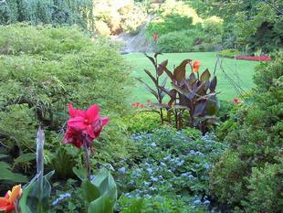 Image026.jpg