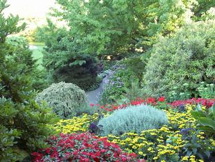 Image030.jpg