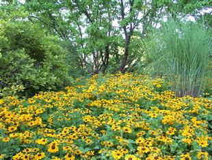 Image032.jpg