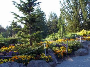 Image037.jpg