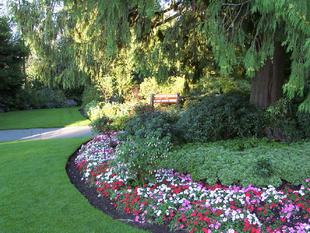 Image040.jpg