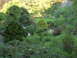 Image042.jpg