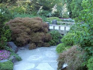 Image043.jpg