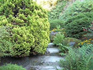 Image044.jpg