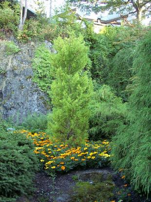 Image046.jpg