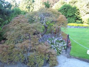 Image047.jpg